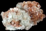 Aragonite Twinned Crystal Cluster - Morocco #49268-1